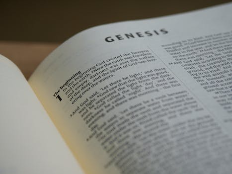 The Eighth Chapter of Genesis