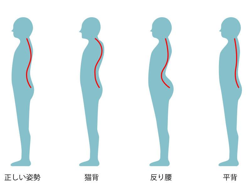 正しい姿勢がもたらす身体の変化を科学的に解析する