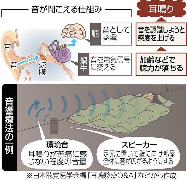 自然な耳鳴り改善のための基礎知識