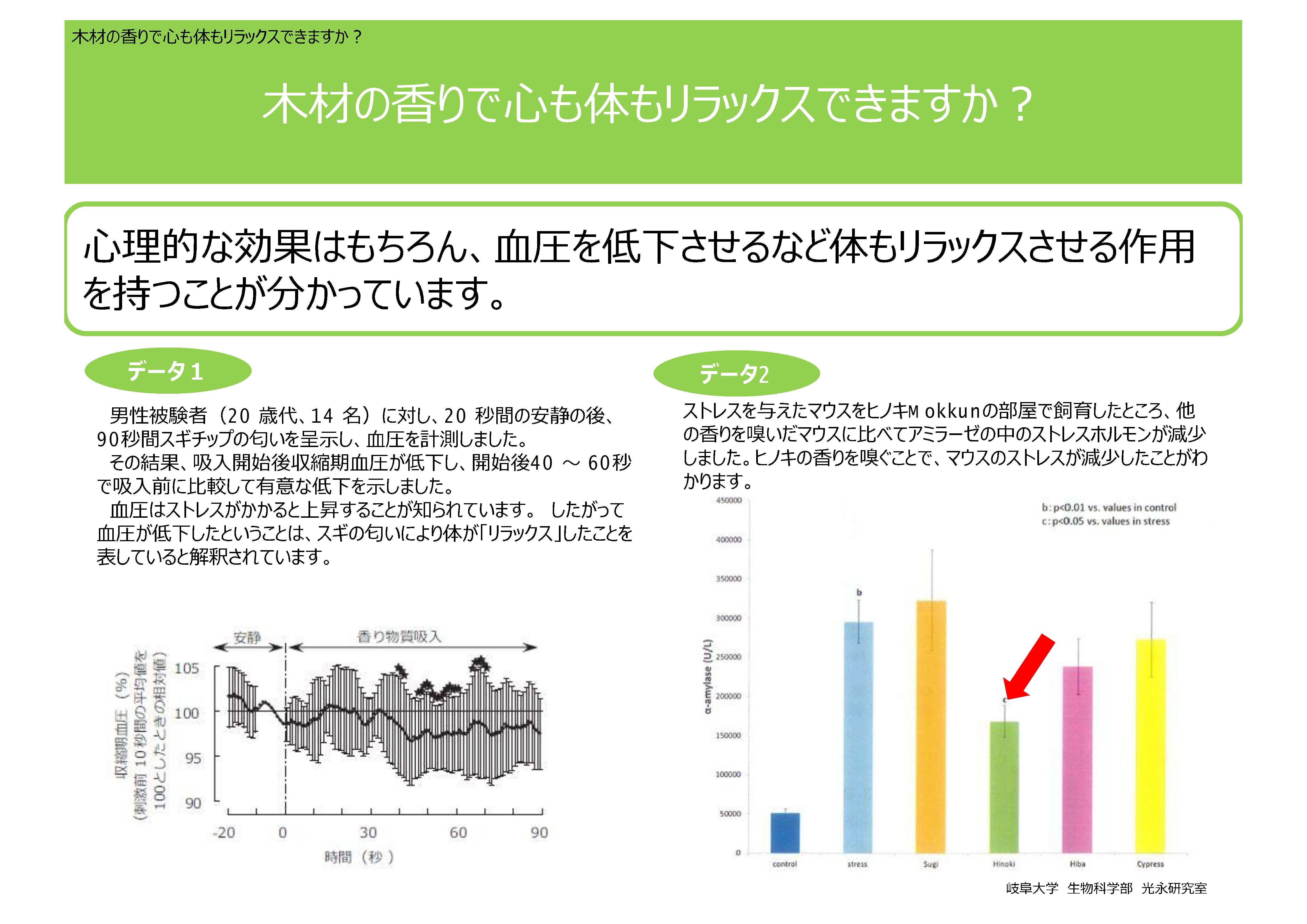 意外なストレス対策 - リラックス効果と血圧の関係