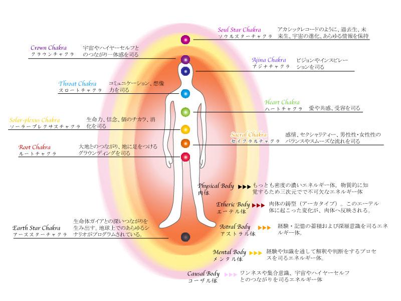 食生活からアプローチするルートチャクラの強化