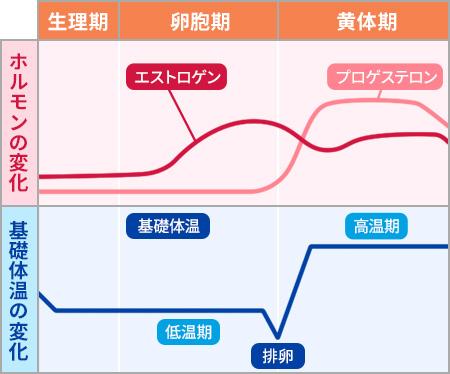 ホルモンバランスを整える生活習慣