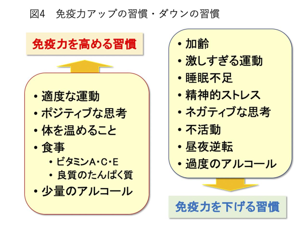 目から鱗！簡単に実践できる免疫力アップの習慣